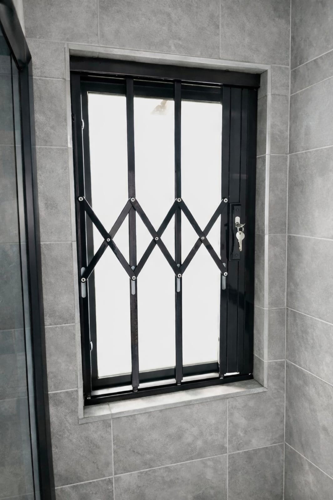 Trellis installation 1