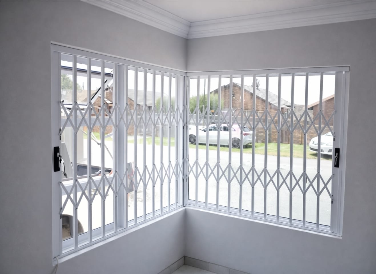 Trellis installation 2